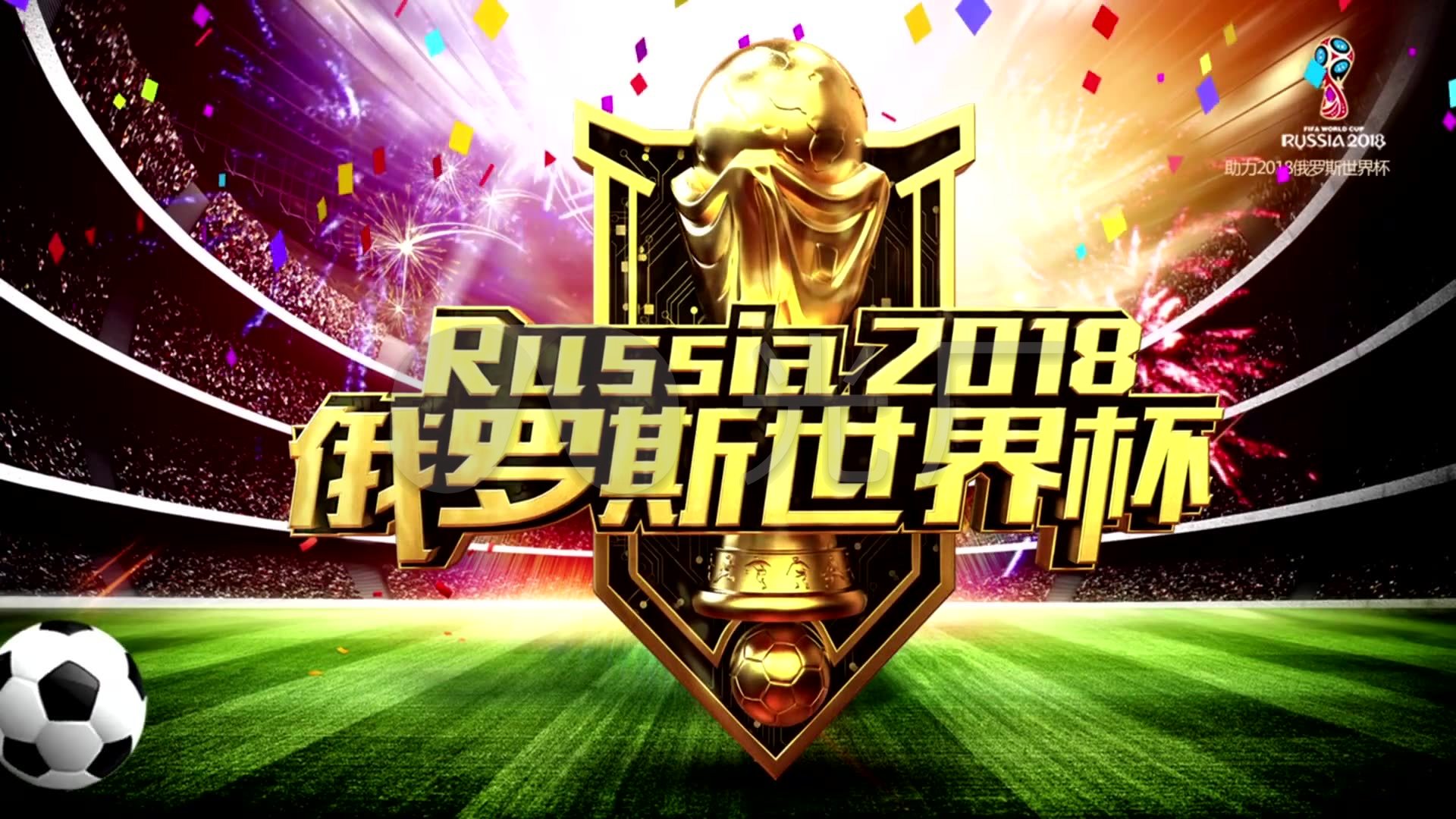 卫球员